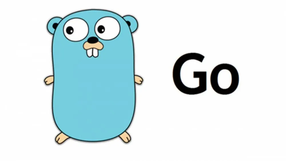 Зачем я начал программировать на Golang?